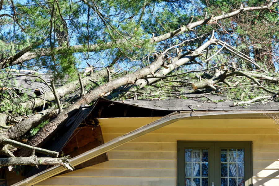 Storm Damage by IL Restoration Group PLLC