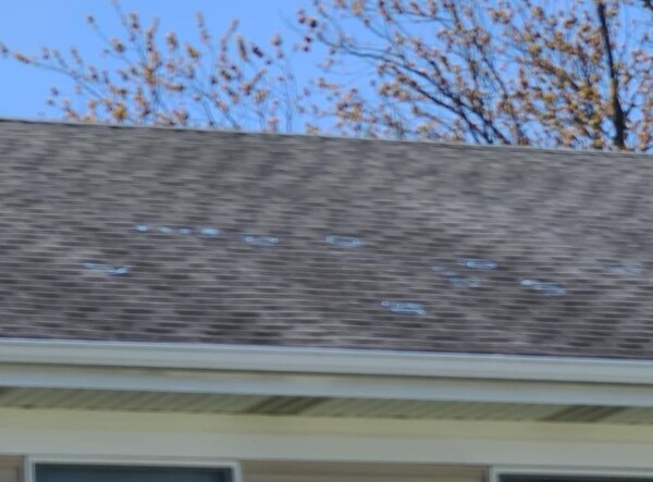 Roof Repair in Elgin, IL (1)